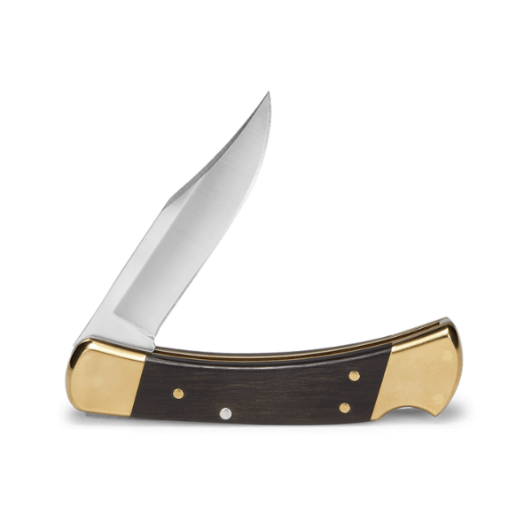 Buck Knife 110 Folding Hunter