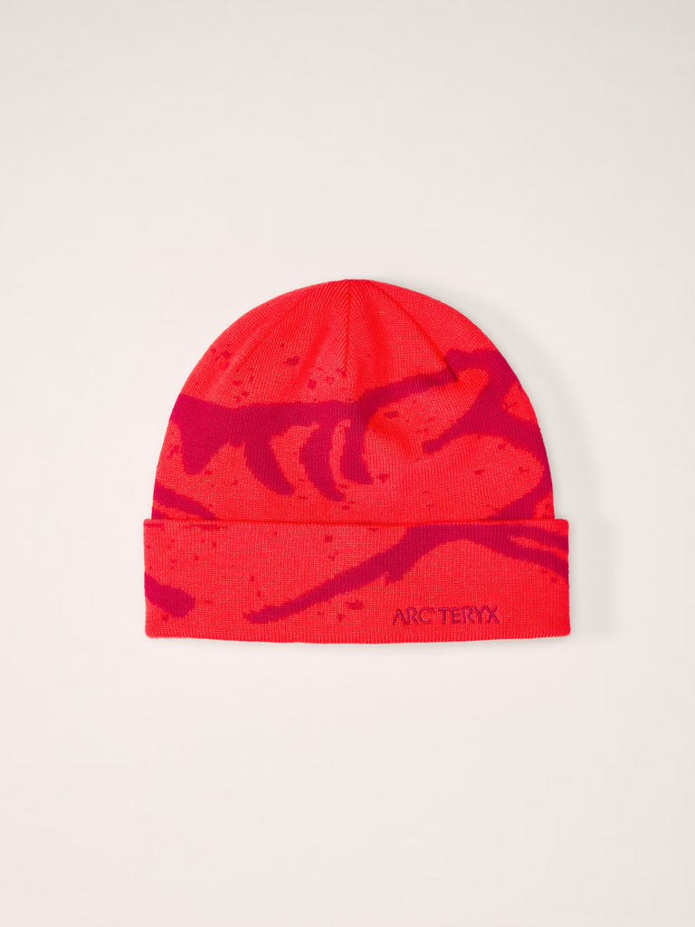 Arcteryx Grotto Toque - DYNA/DK