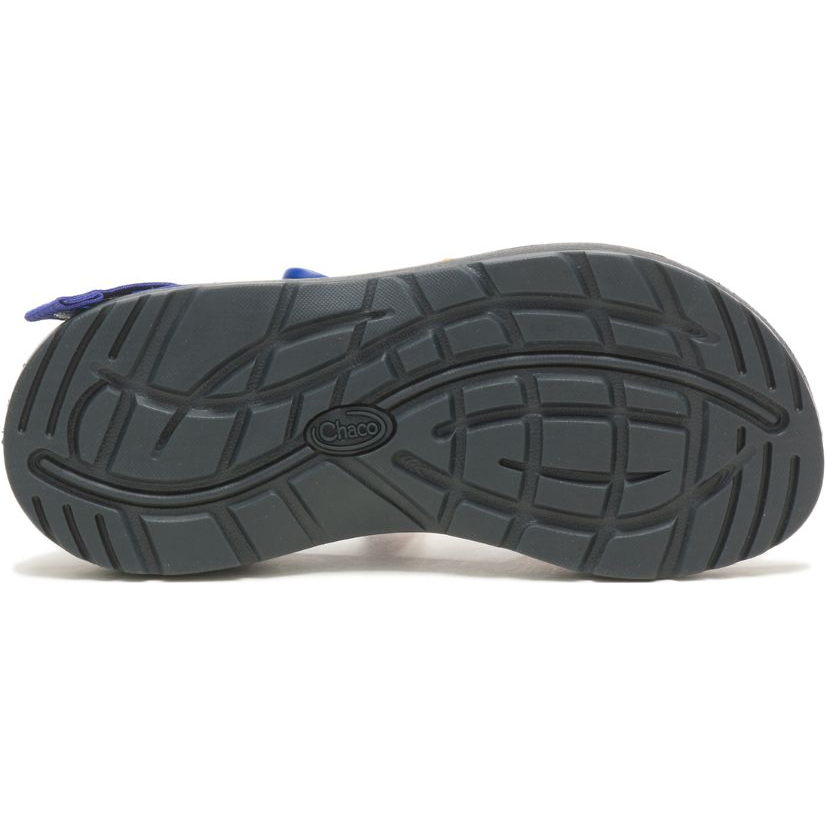 Chaco online tetra cloud
