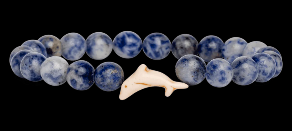 Dolphin Tracking Bracelet - COASTBLU