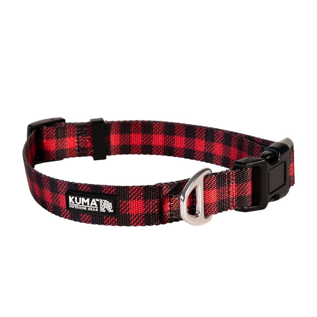 Kuma Lazy Bear Dog Collar - Red/Black