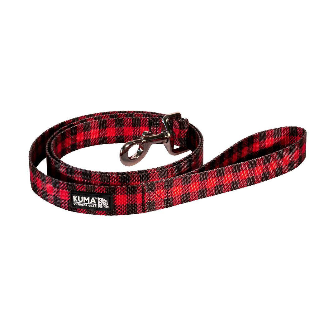 Kuma Lazy Bear Dog Leash - Red/Black