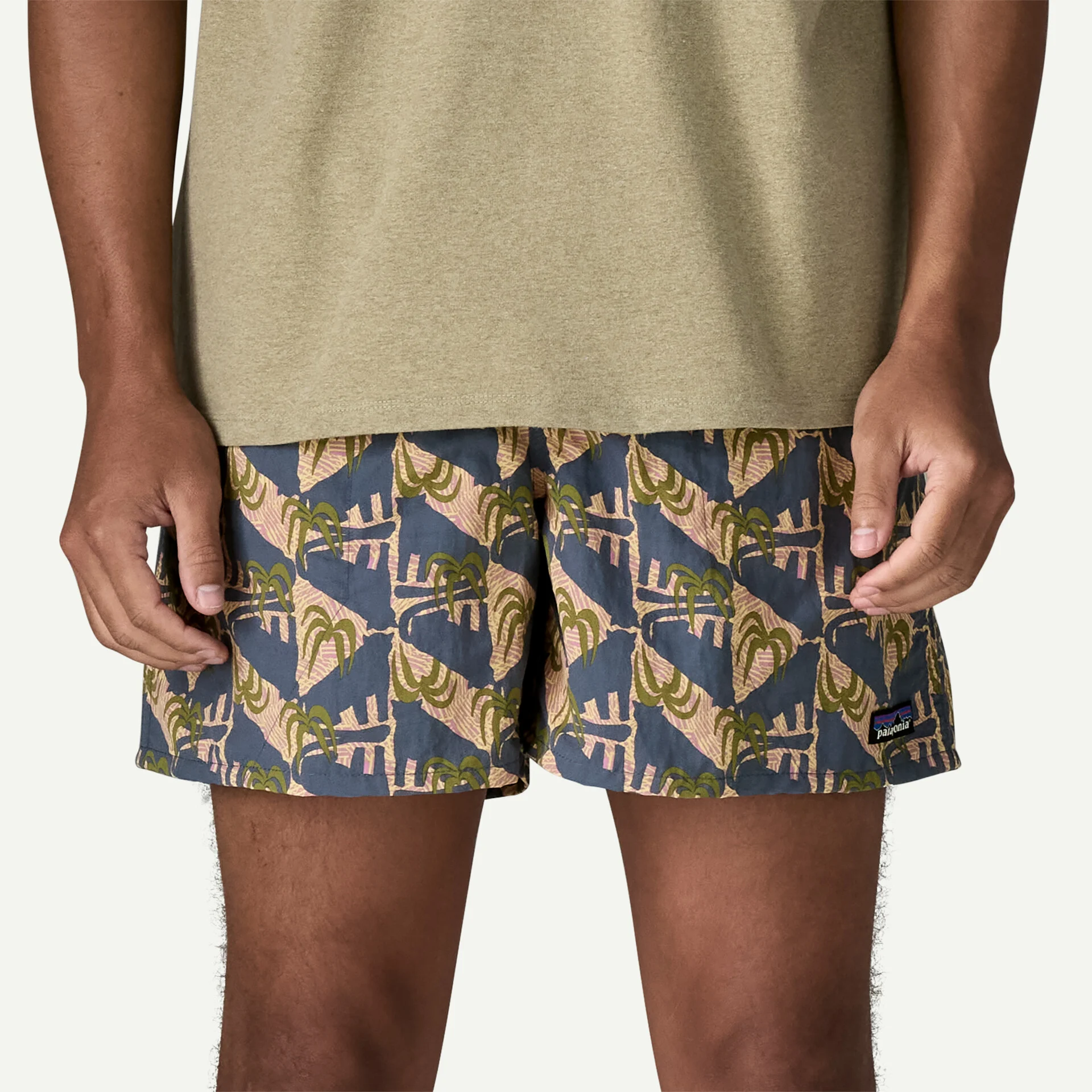 Patagonia Baggies Shorts 5
