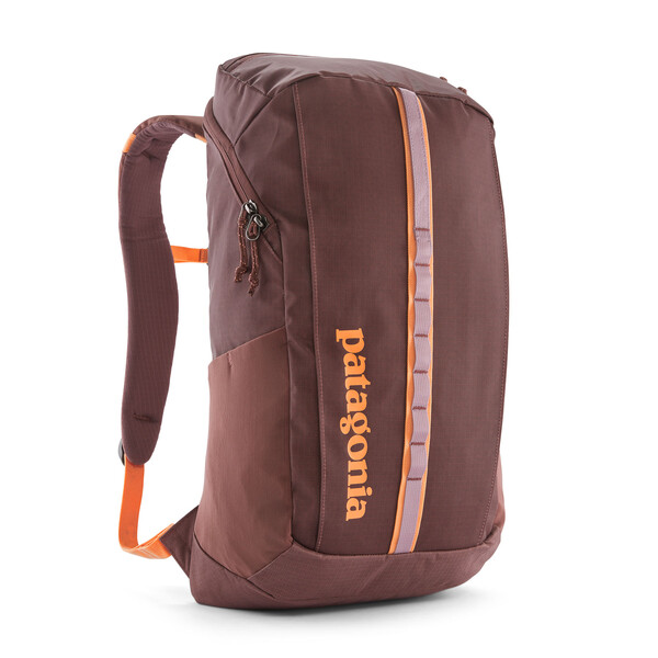 Patagonia black hole 25l daypack hotsell