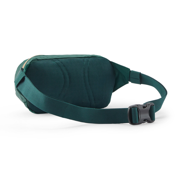 Patagonia Terrevia Mini Hip Pack - CASG