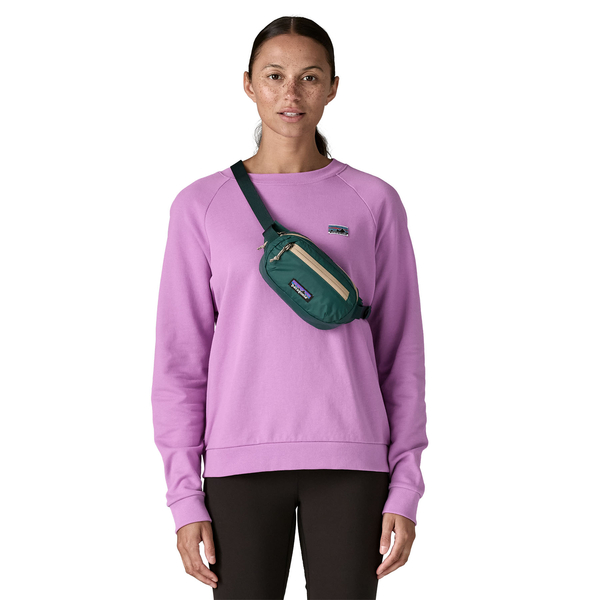 Patagonia Terrevia Mini Hip Pack - CASG