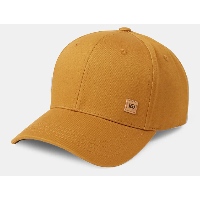 Tentree Cork Icon Elevation Hat - GOLDEN B