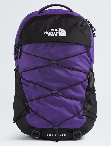 The North Face Borealis Pack - PEAK PUR