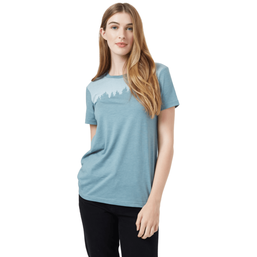 Tentree Juniper Classic T-Shirt Women's - STORM